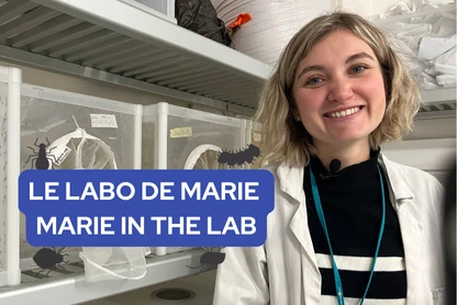 marie lab