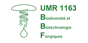 logo BBF